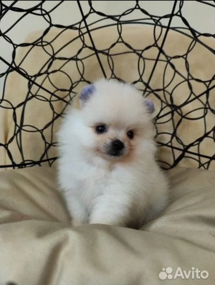 Screenshot_20260318-184014