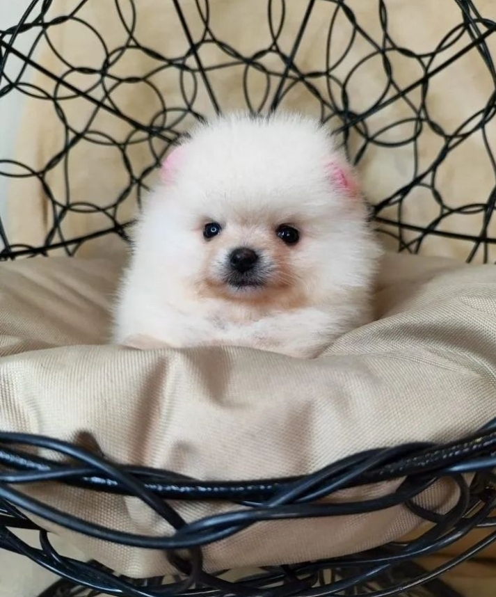 Screenshot_20260319-111933