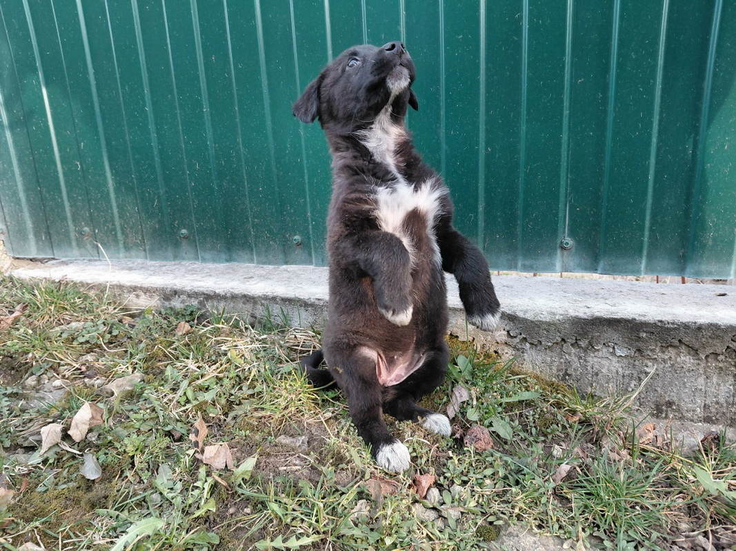 Uu7u72HleQpEWISBHPEVJm268NO2tX7vj0FHRMpyamDsBegjmxSMX5njAjiiDC1ZKNvEJrYG_jyGdyzkyTdPF395-1