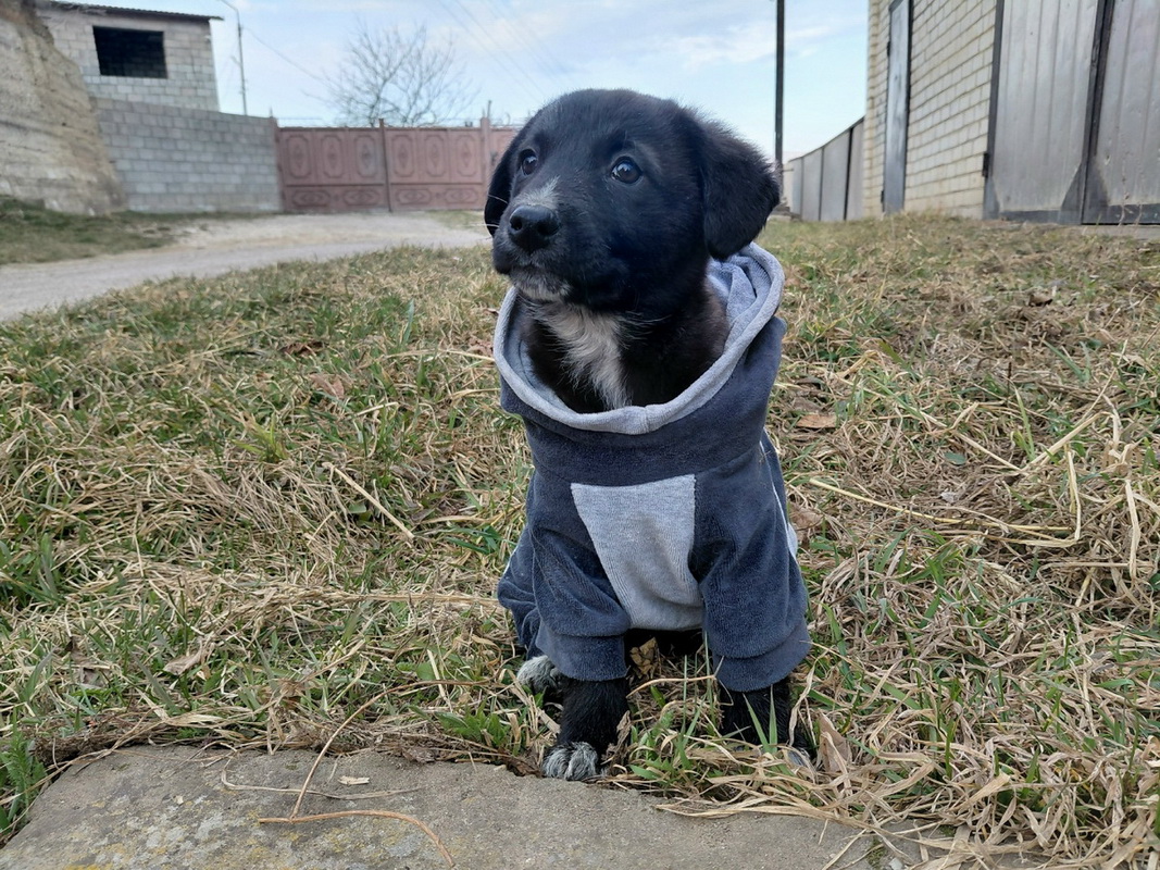 WLtmzcBiE25bW2DsDO2oC7elMbKE6dfIlKx6y4N1D1FsE7y_YyO9hh3zQxItfhFZ_cbbiGWJ6ircBHGmZW5bso4x-1