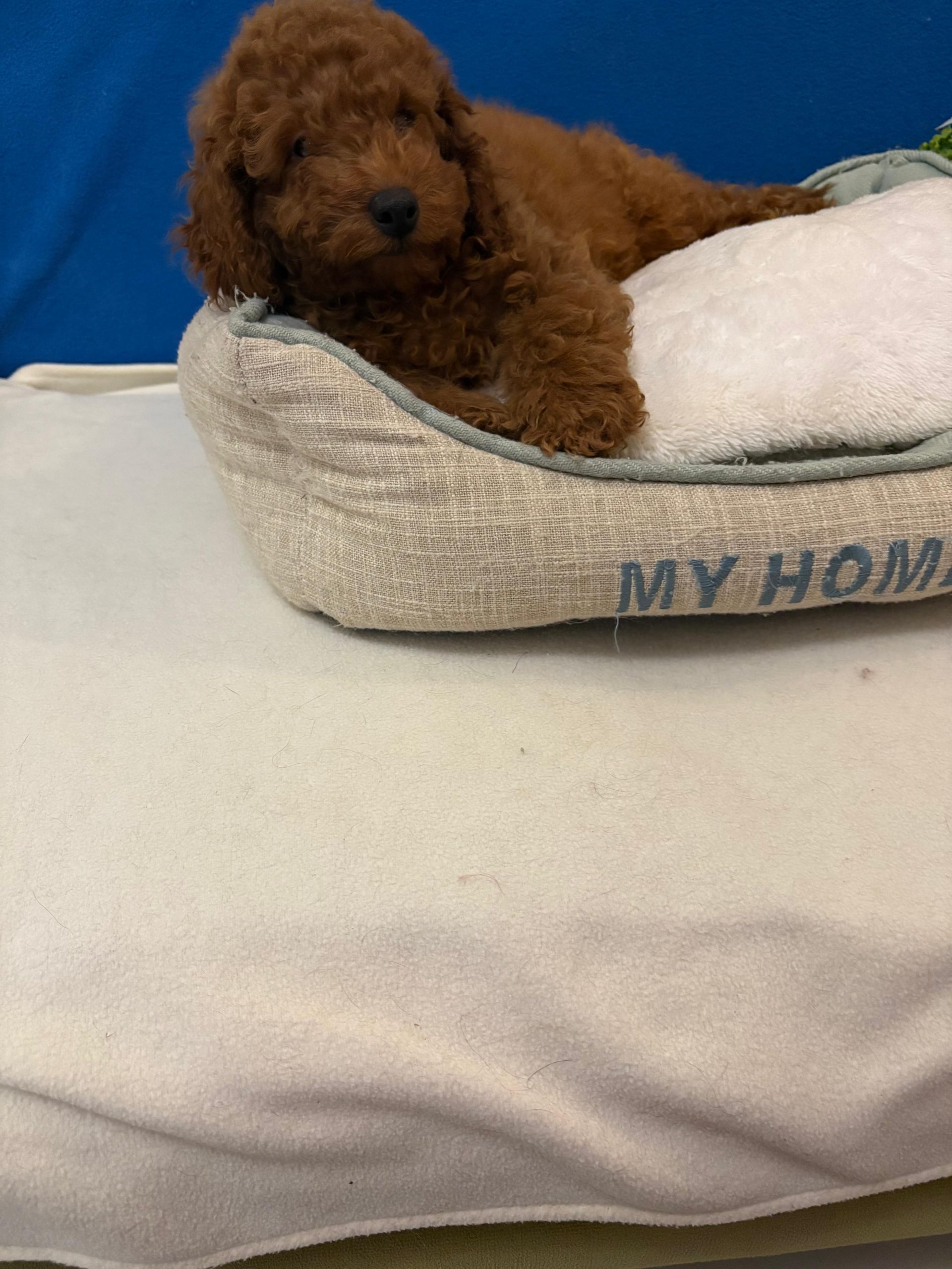 WhatsApp-Image-2026-03-30-at-17.56.33-1