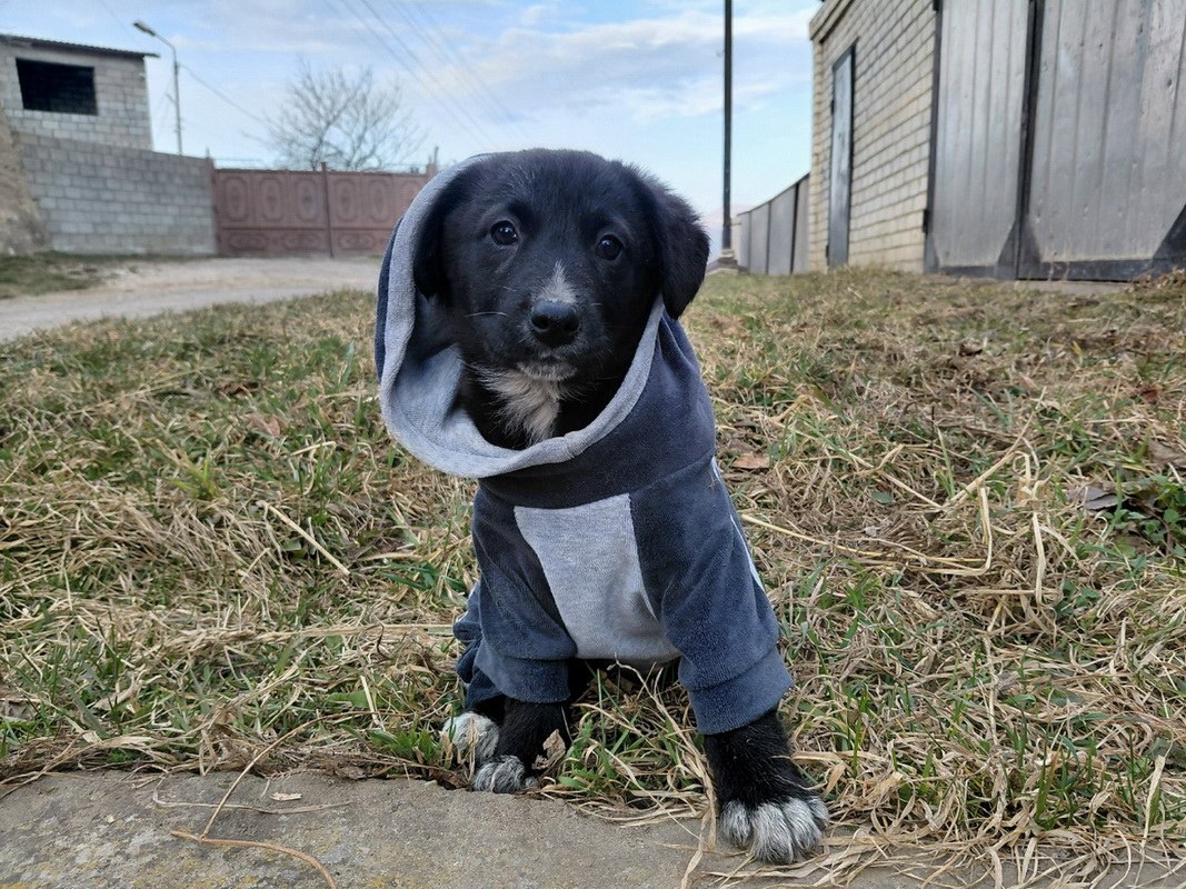 XoqJUfcPOd-ywV-2EfQxyLiEwYi1mSQn6yjJKRA62_5nmMPL95GEP-7_gnUfUrvTo8s_UjkoIZ8LABYCU2T0mAEa-1