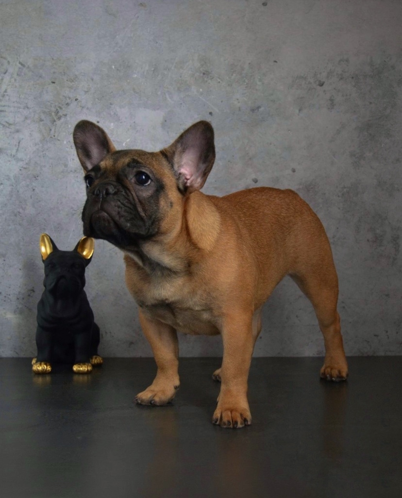 Y5XcswholYrxlUPFiIkpt9gr62-E7JaSQFsMM9ewPxA2rOMy3BL4sUIwcaghhA-8dWNr8EEmGCpQxXUjh3pOhHyL