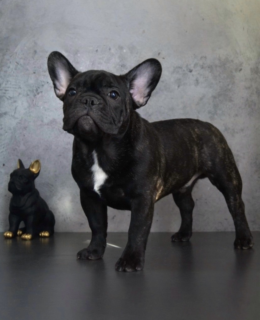 YuRS2uz_z97xPugOdpWHesAG0S8mtIvyDHdR5fl3oxrCQrYhLXqOG2xzY6TGk-Cd2hSAYdOKAqo962-dk-K_Z_jT