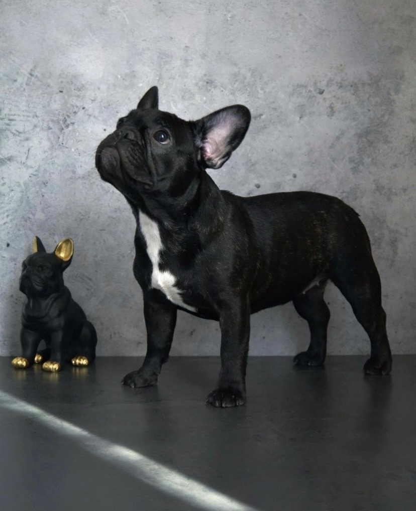 Z4moje8DiNnUA55MqIrX0VIfPeKPLYiylCafKZpoUqKDTU1bdesfMvFhVAKHMZARzlHU4XTPsKe-bntgPJQhJjIH