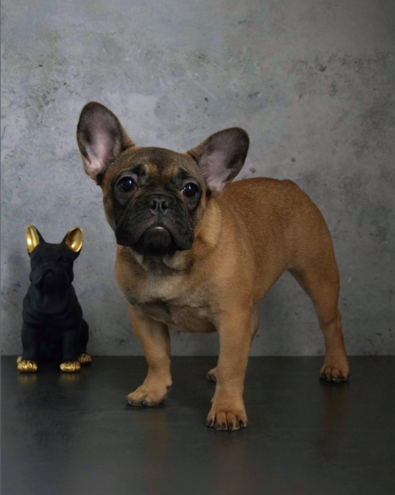 epwOWIOJReBr7jWbgaofX9wh42ETjNSLmc2US_BXwDuj82oLZSLVgWvK9MO4VWb60qr323Dr4VFvcJm7q1NaPoe8