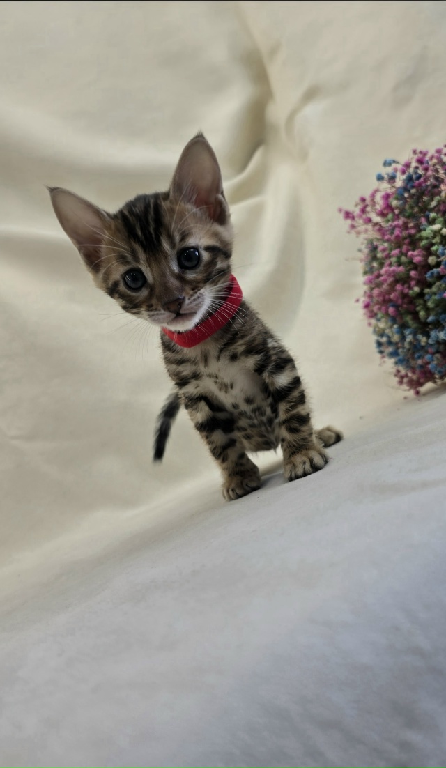 mVzGla-_sSbt3IlSOkbr3PVWNb9IW_b194sYM3Eo4qbrIdo5qzZOI6UB_XAcUoAhnLaPGnGHVu013P1HrWVxo9mZ