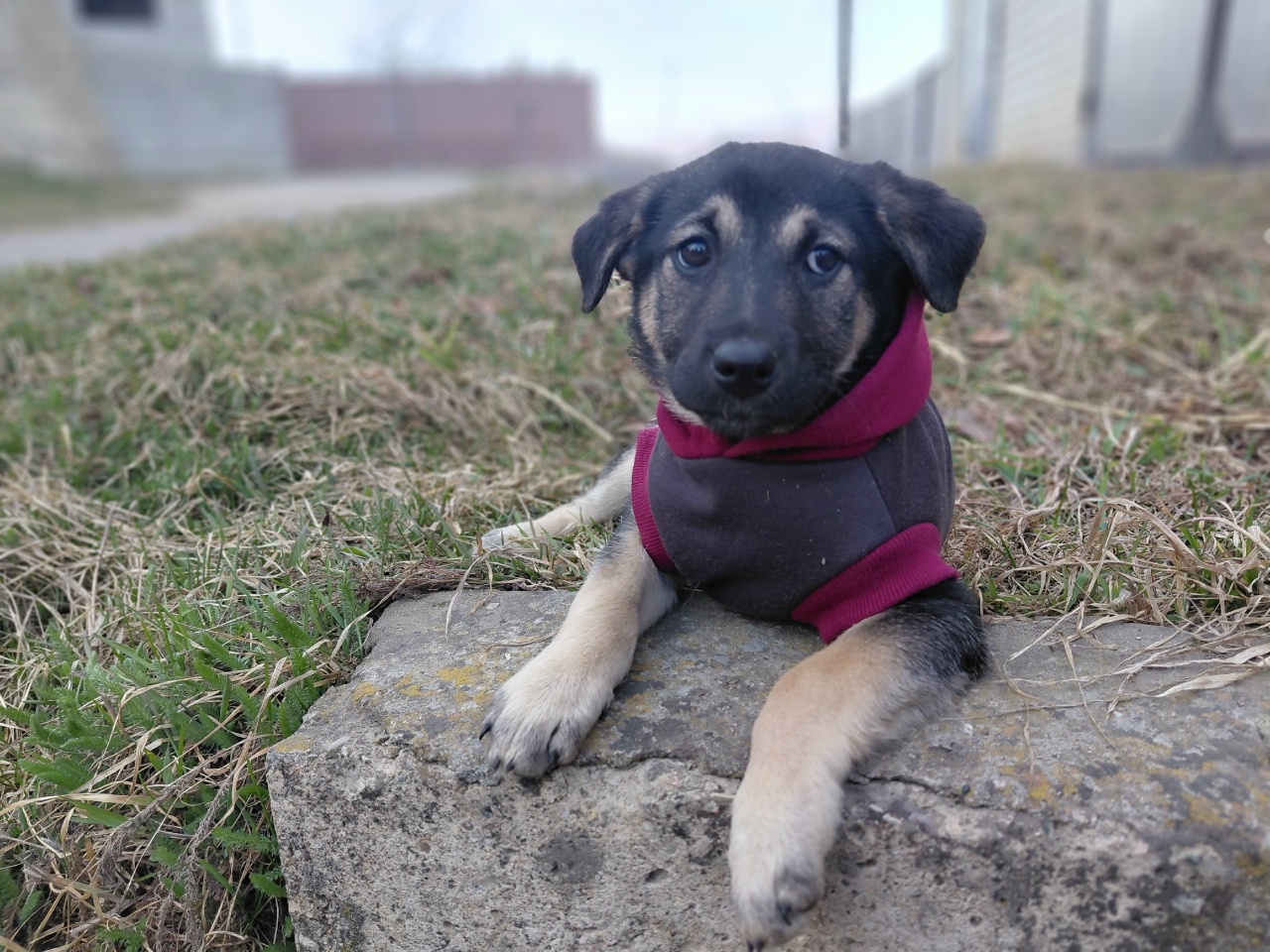 nlSC2O_ofGop1a2KsWHJmyJaxuKjeNs_kq24aa_1ChmlFeJ6IRooW7XDPIdvQwl-5b0S-pilnw1hHLbmFTzkI0a5