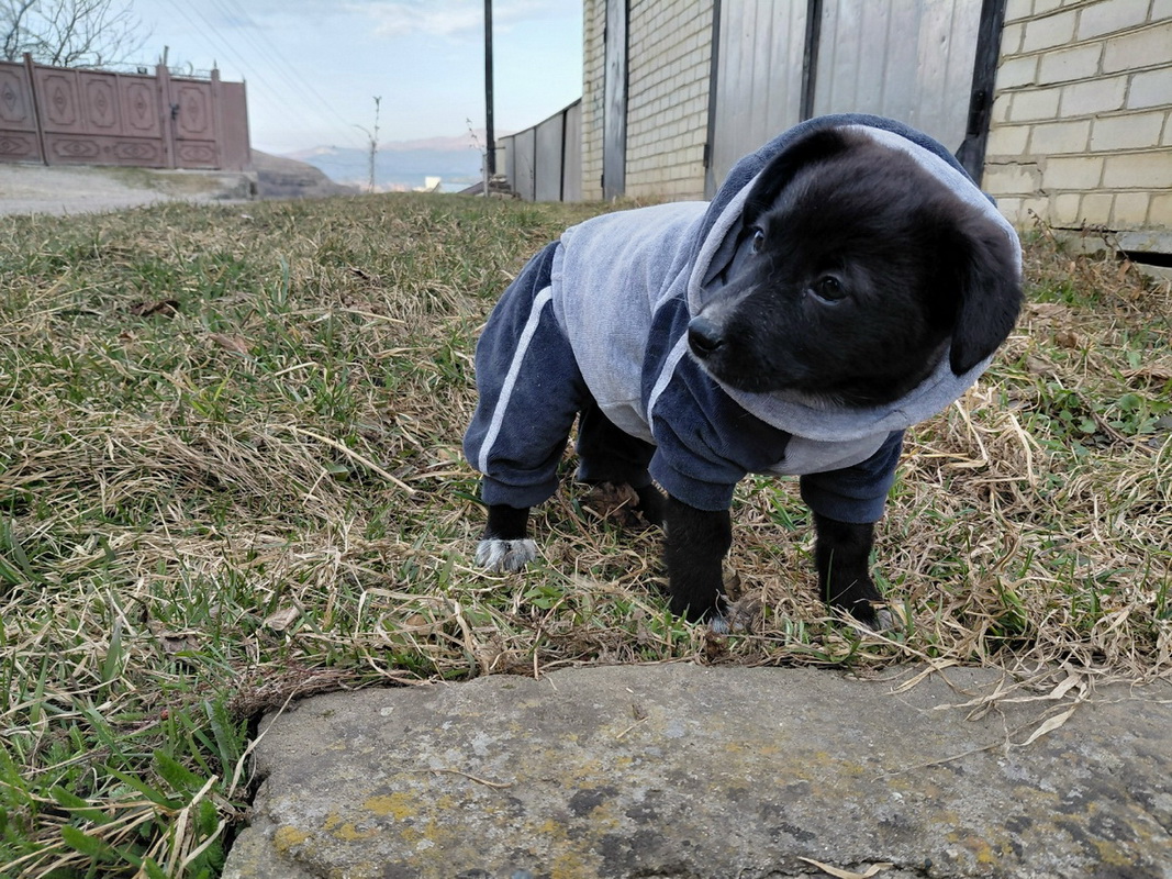 oboinS_4ilup3gi0UZZorjORJPEGkdJlE29JxMN8iIsWUby2MNYfA8vEMzD002mRLms3FqJNwq9-3-EoMkOUv7tx-1