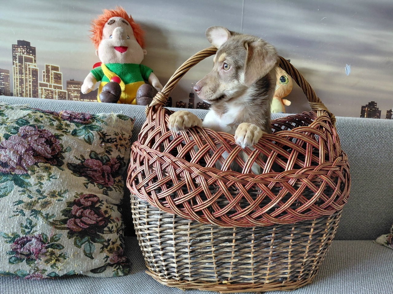 pOx78w51T-NKwBVZHECW8HwryxyCZDCktz8U826M4crsUSst6xXxjh6qZBeFsrCvdxbteVOt6Z3wAtaznlBfvDoQ