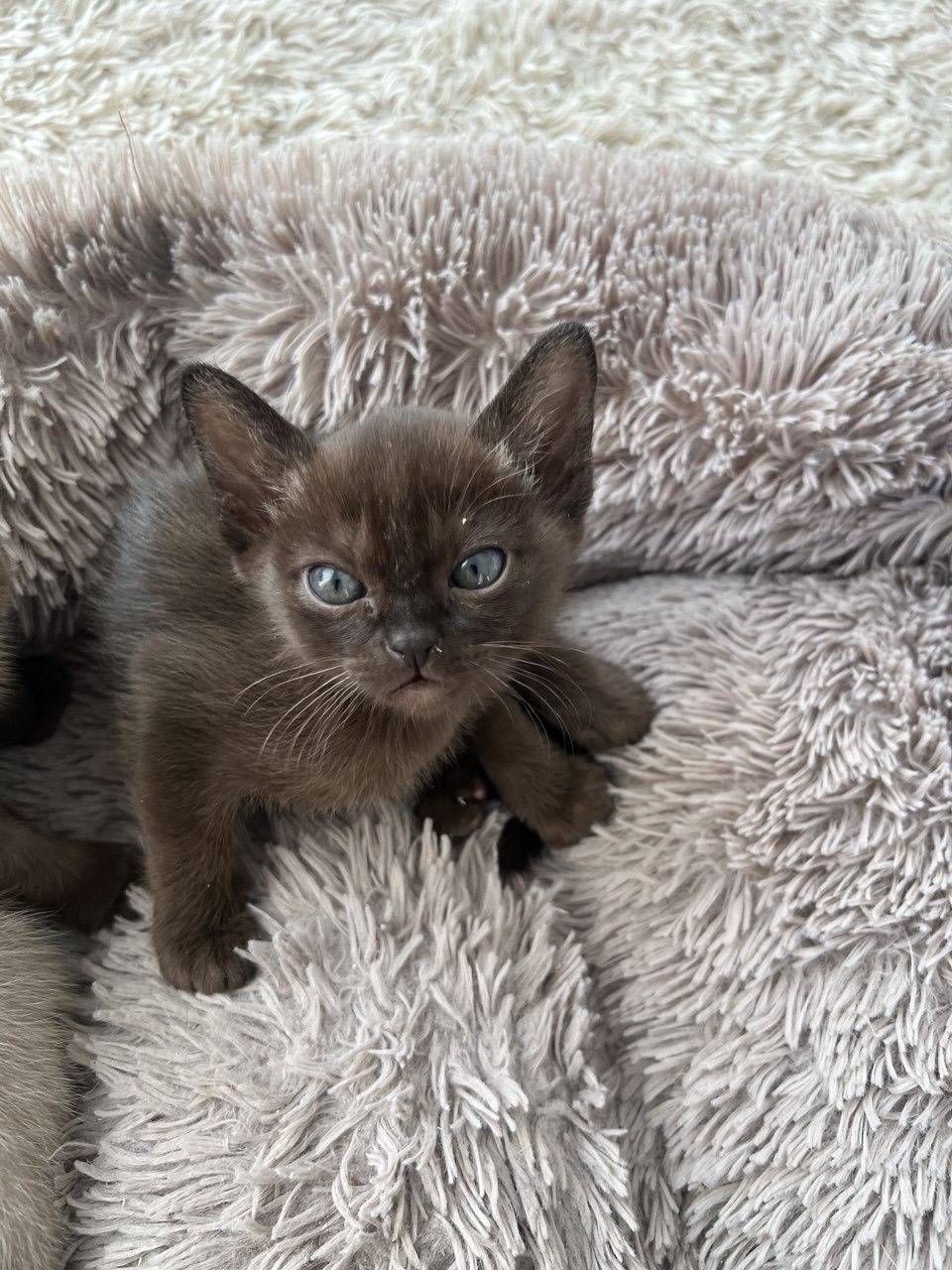 photo_12_2026-03-10_16-23-00