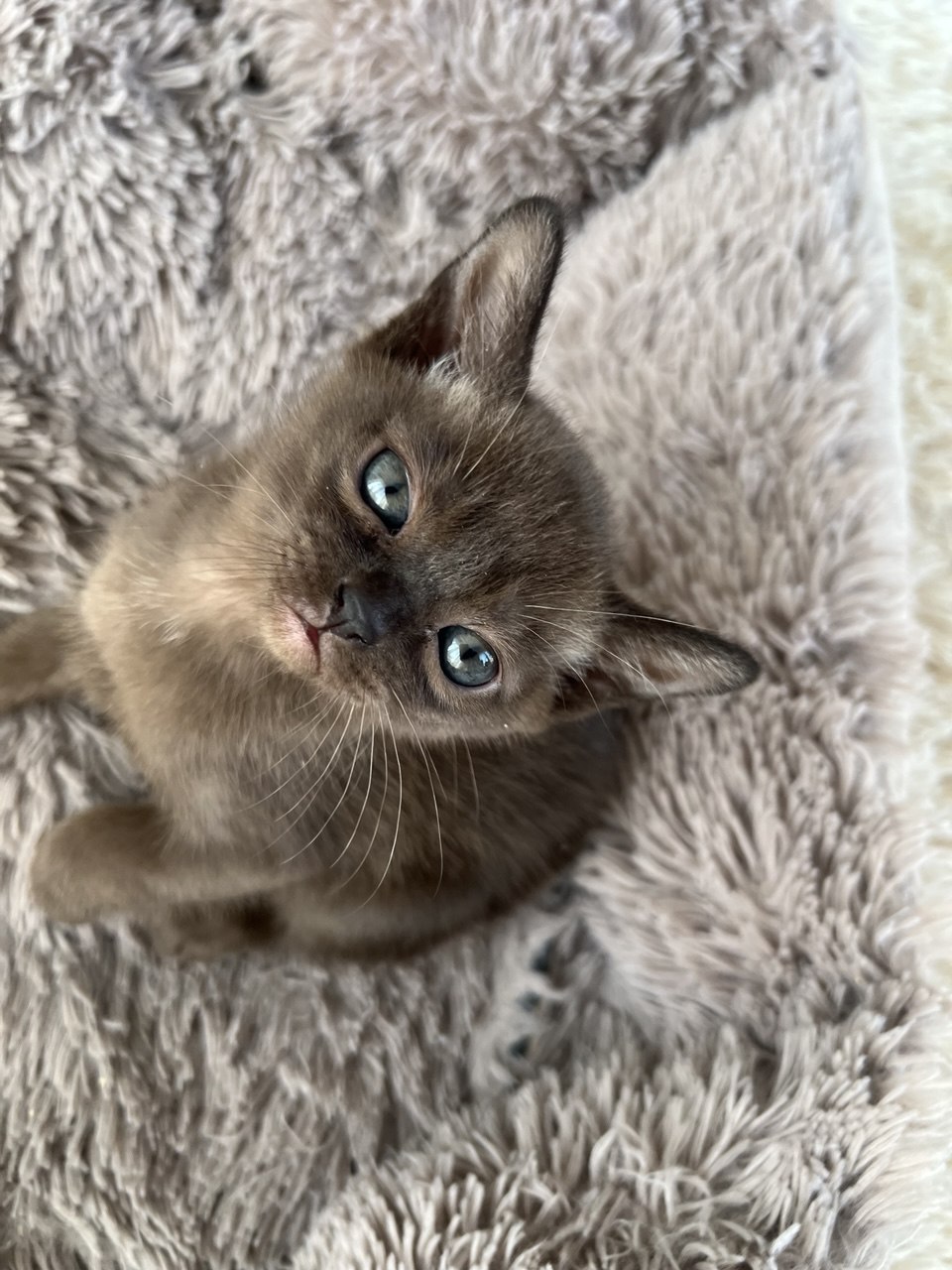 photo_13_2026-03-10_16-23-00