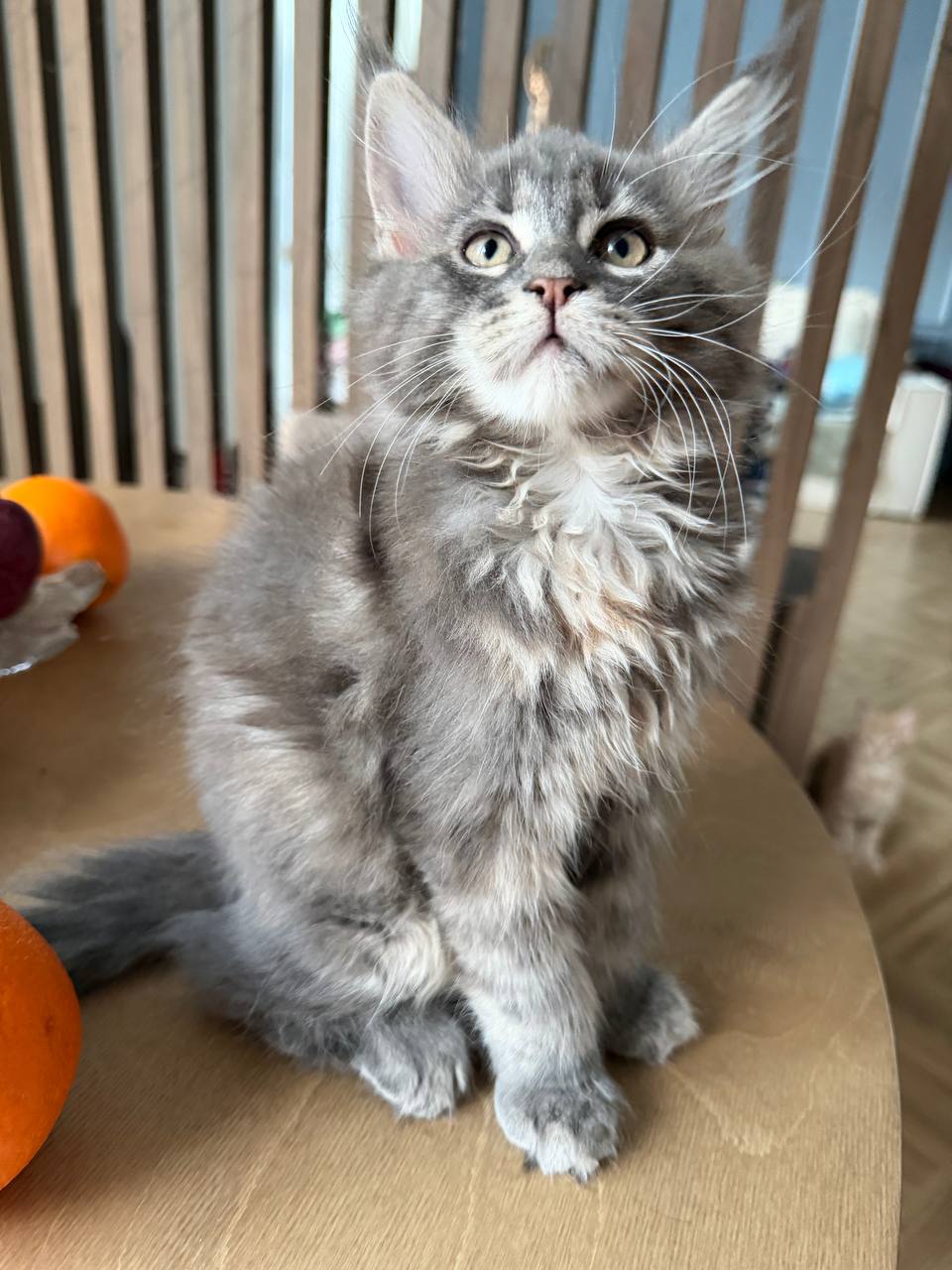 photo_2026-03-07_20-47-41