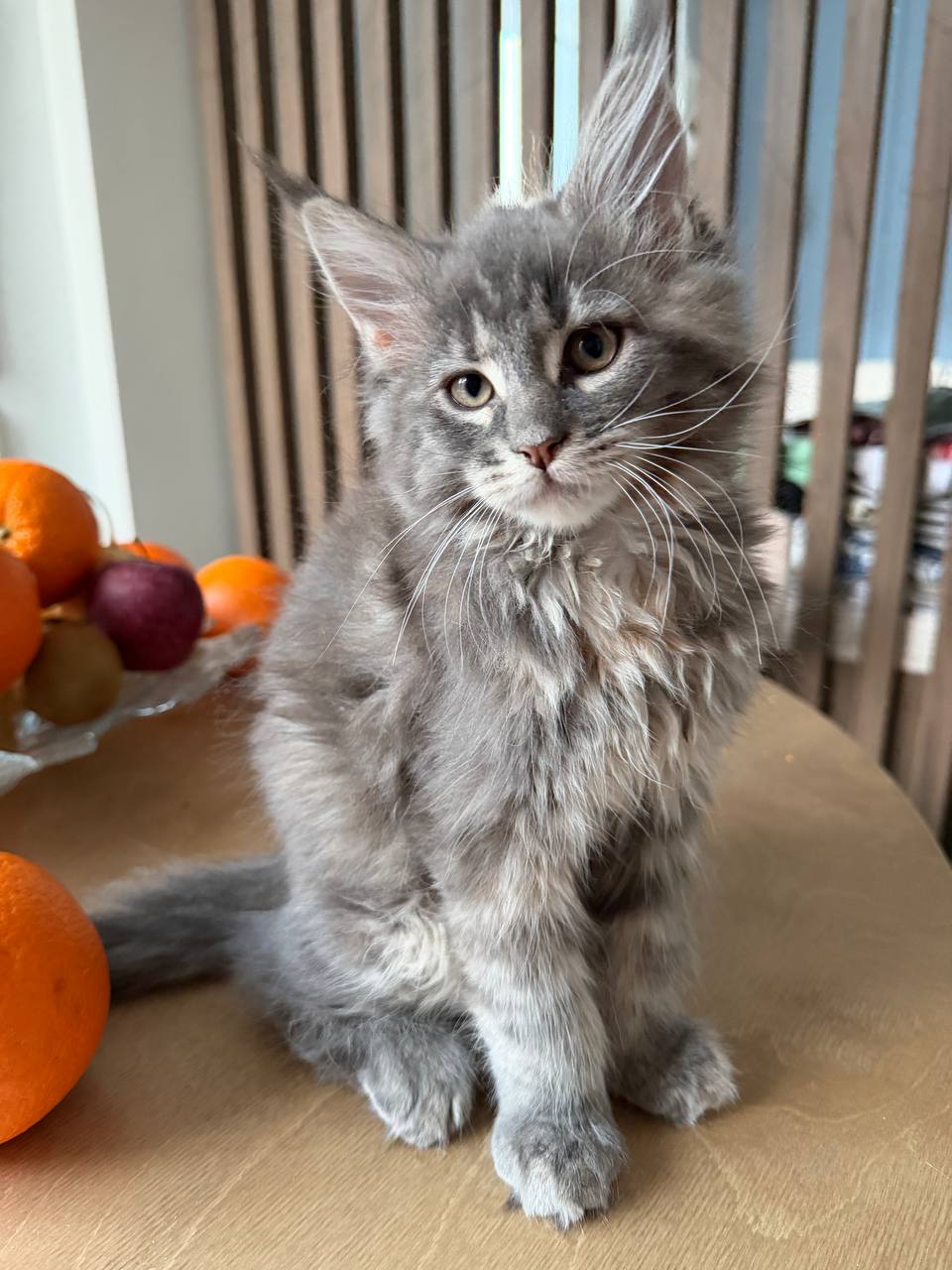 photo_2026-03-07_20-47-45-2