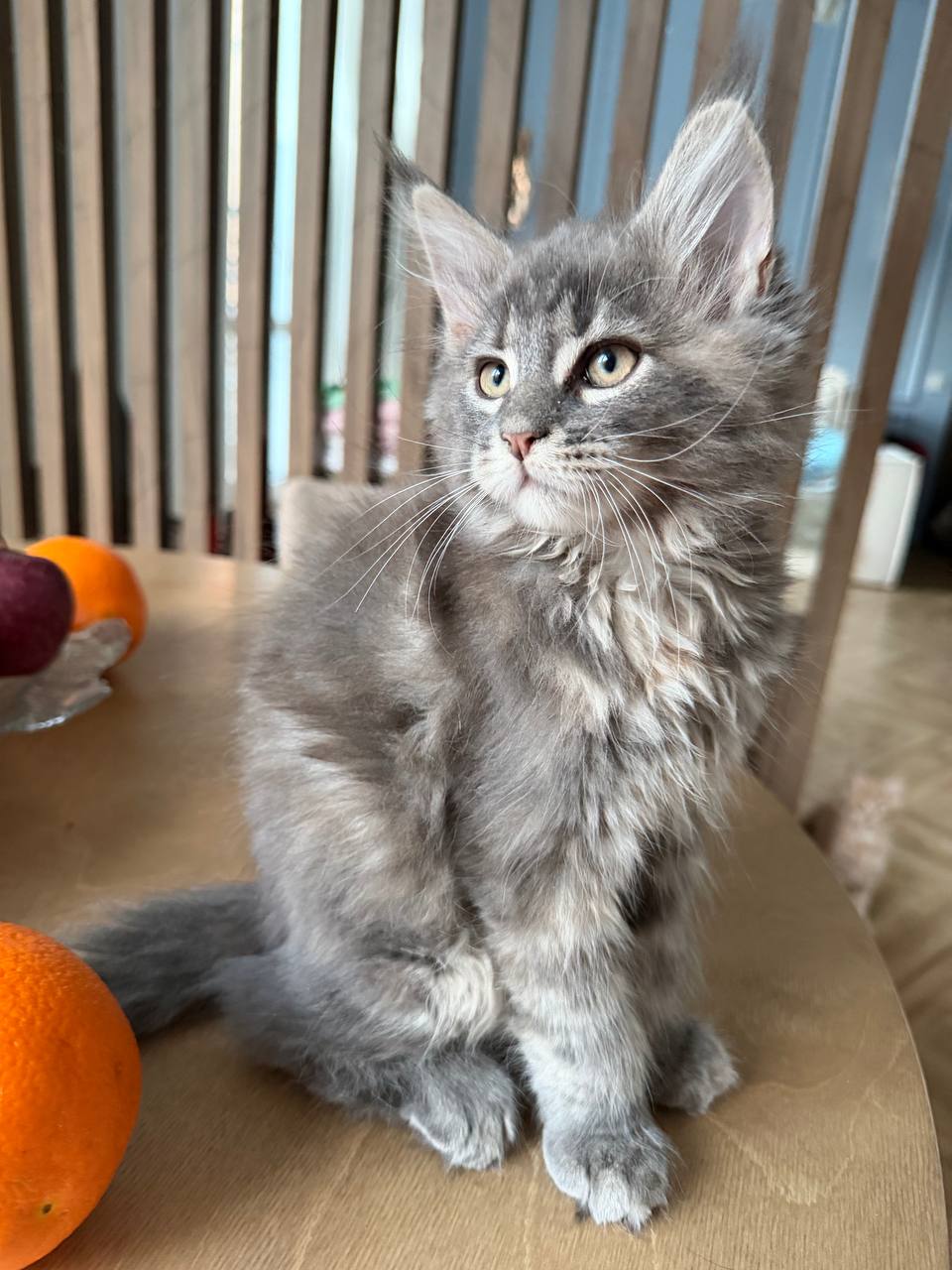 photo_2026-03-07_20-47-45