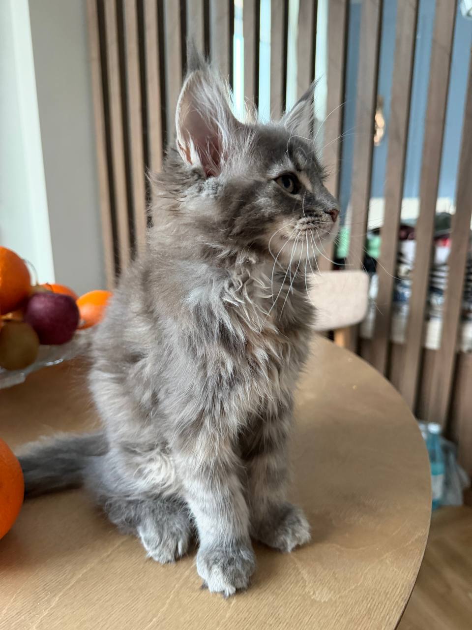 photo_2026-03-07_20-47-46