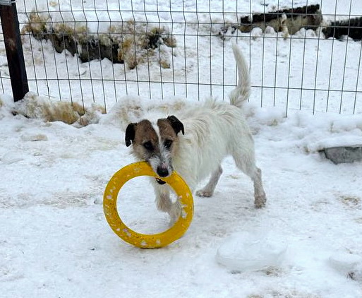 photo_5208611994003510335_y