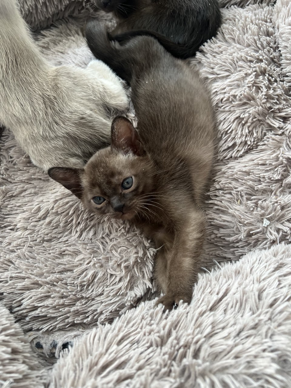 photo_5_2026-03-10_16-23-00