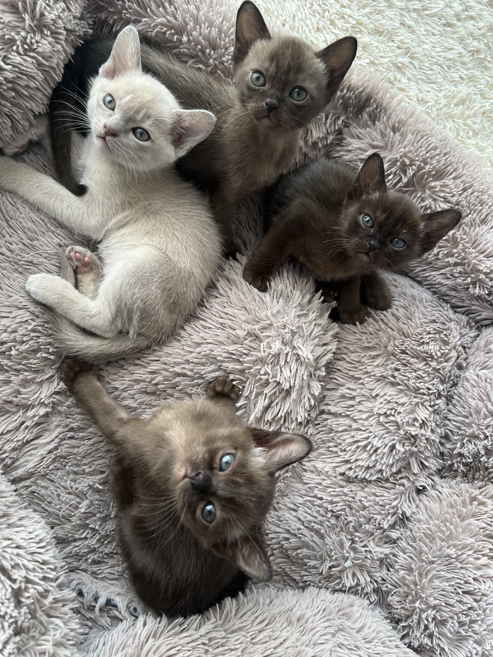 photo_7_2026-03-10_16-23-00