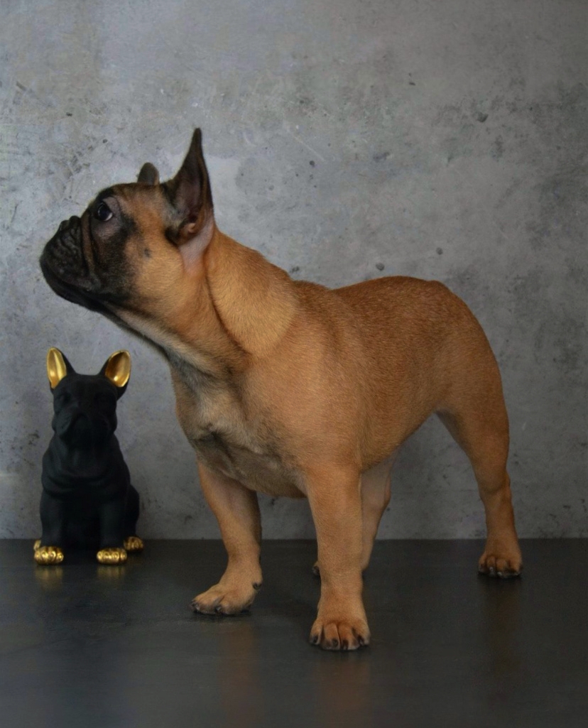 s491WUB_uN5OjYwetcrefONdqyHV1j7XAeY1SB8WUeyicRXF0ElSWIcHjWys28QaoYSnELj3uWVscL9WCQ2wgzNV