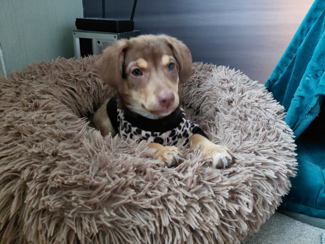 vMcwjPq0rNFFr8pJjEv6Ce7xXmhfp5QBsnnJKGJBo783ZemKTBxQfdeN9iSqKEDxlOI9D7BVxV6dJCwNsVSMs-_s