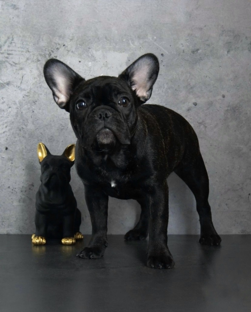 xPh_7gqvx3p4KzV7U1kjI3PECdjm9CyFbKgVUHpPYoCGaj_hEnReEWflkk82Gu3a29X3Tyzu0DwaGermOLEG-dbT