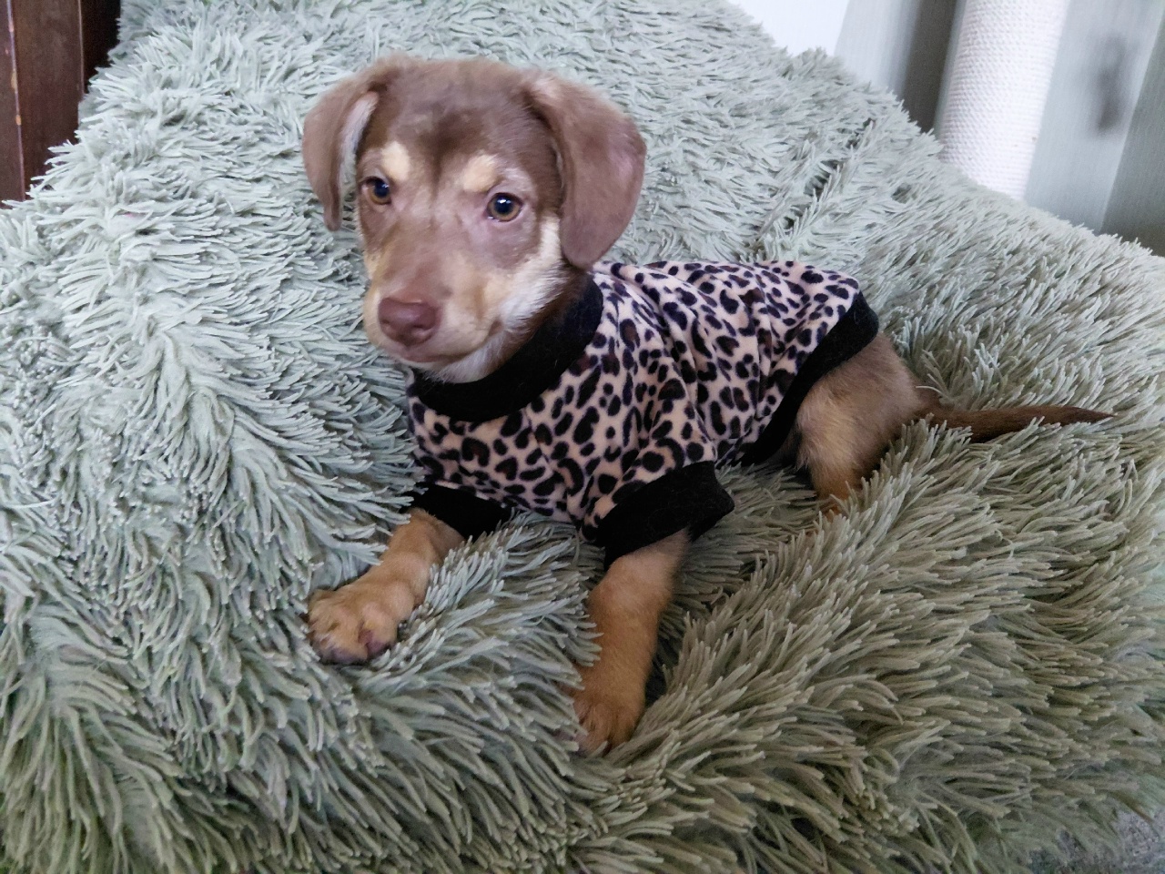 zbQC96f5qGElww1Z4r4g58TczRDYH-en4lGd_lCcUYTHdjYbaWGxKYN0WBB0gS1e_CcxNRBbXs44RP-QHjsnj-nk