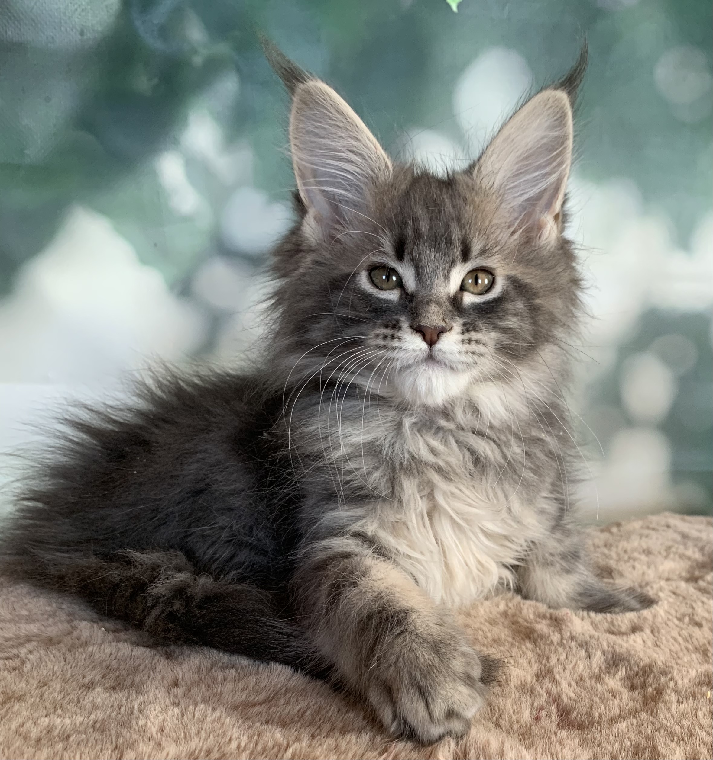 139FC8A4-18B5-468F-B2C5-4941855F2B05