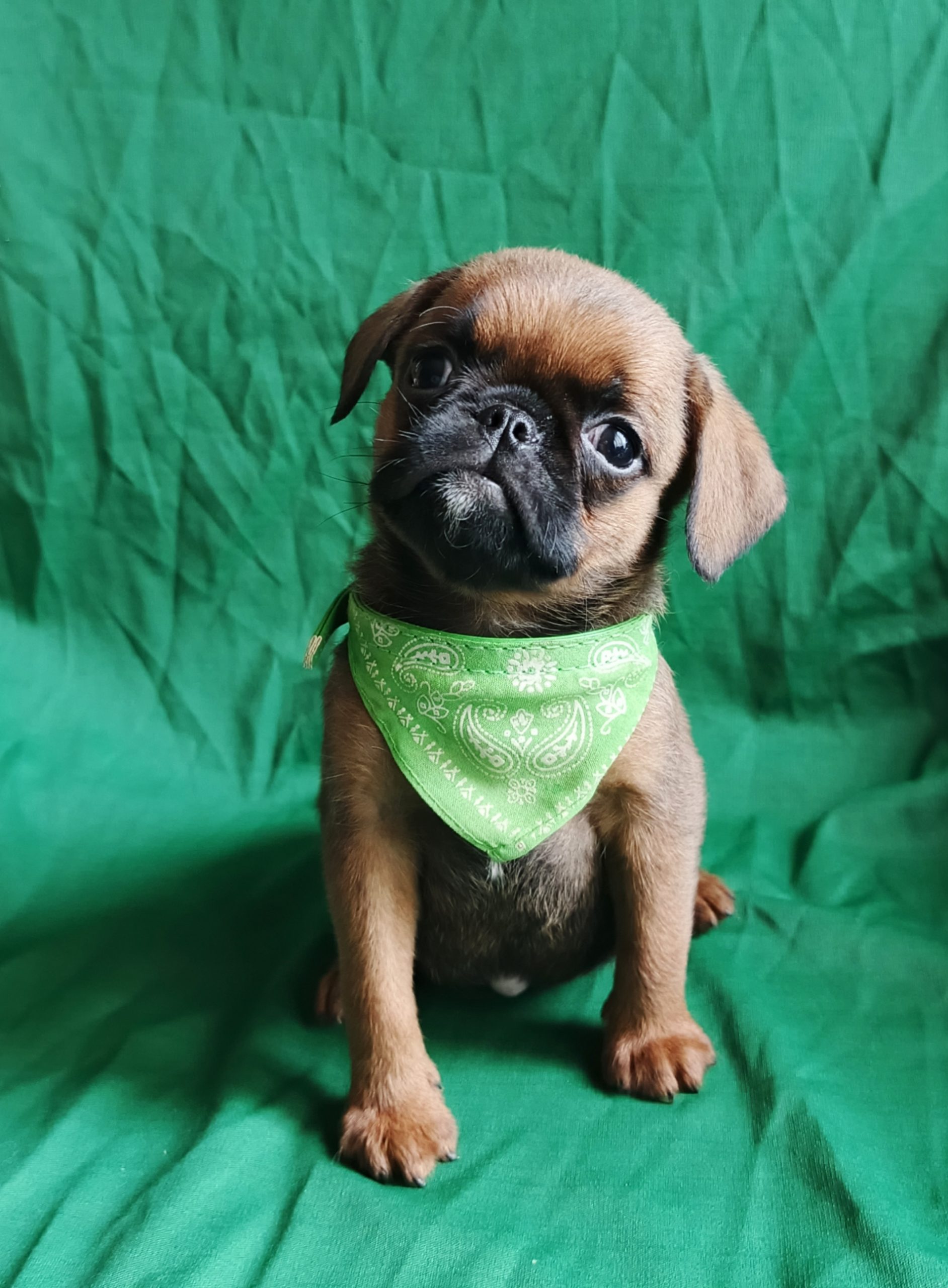 1776754685814.IMG_20260421_095249_506@563321355