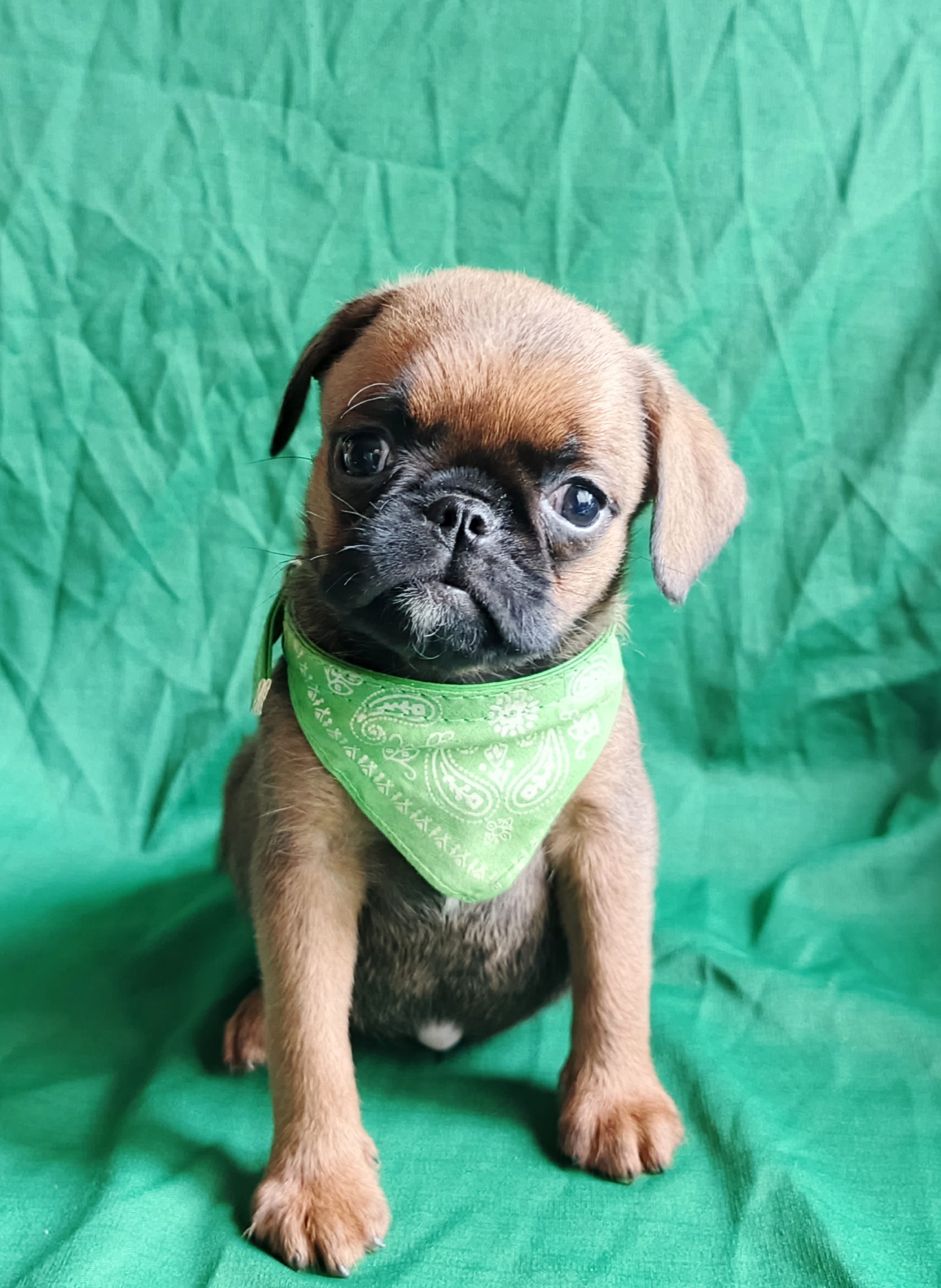 1776754892775.IMG_20260421_095324_132@-1848236806