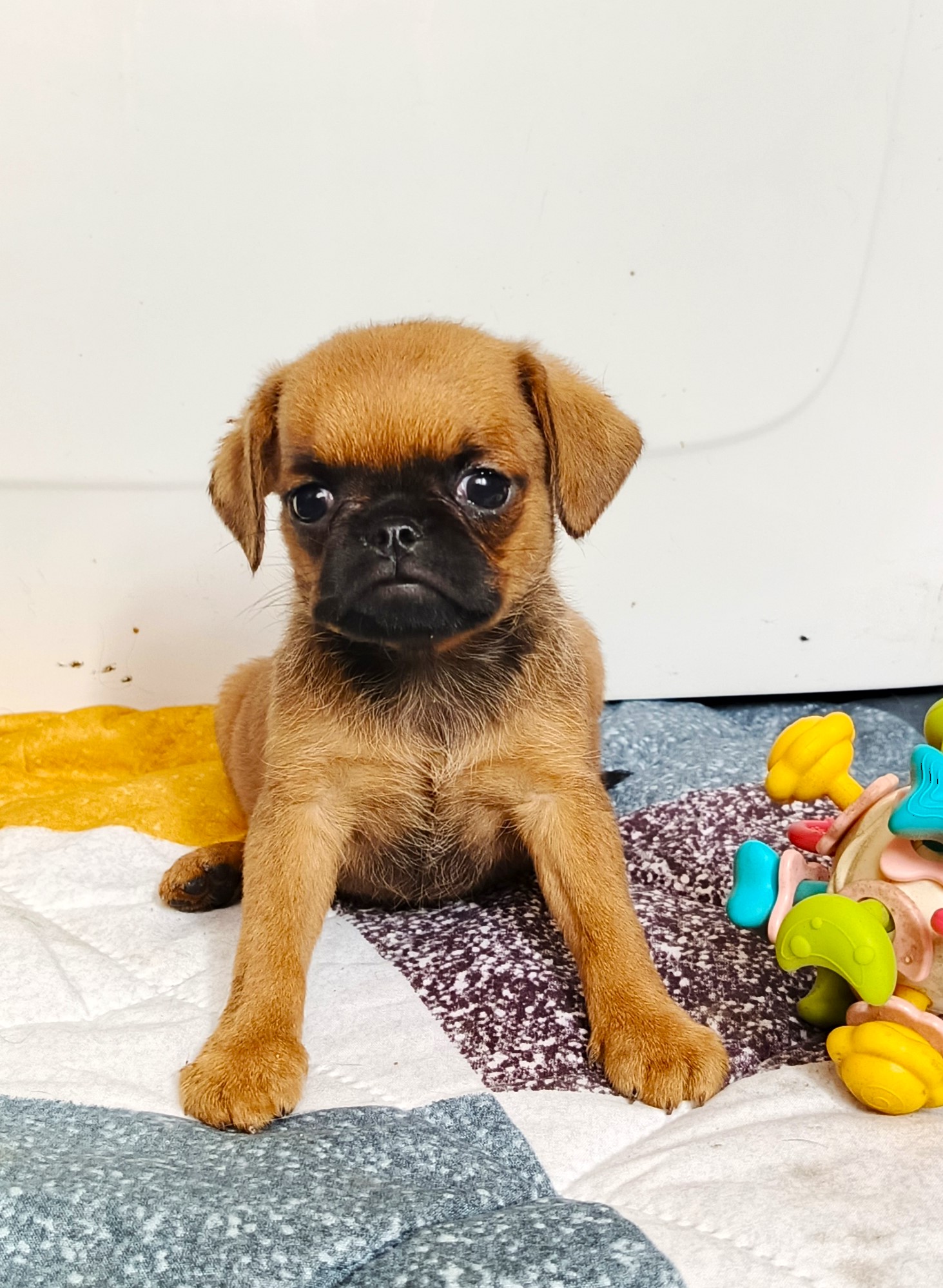 1777042209866.IMG_20260418_091752_564@-546221944