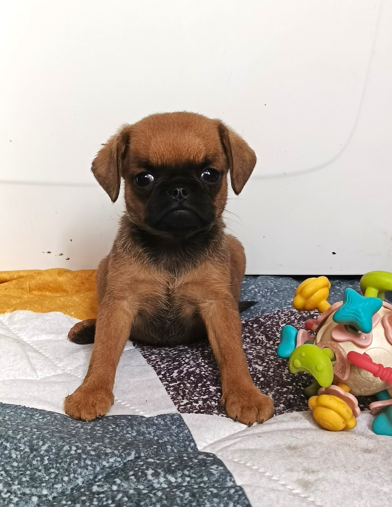 1777042474328.IMG_20260418_091815_854@647037727