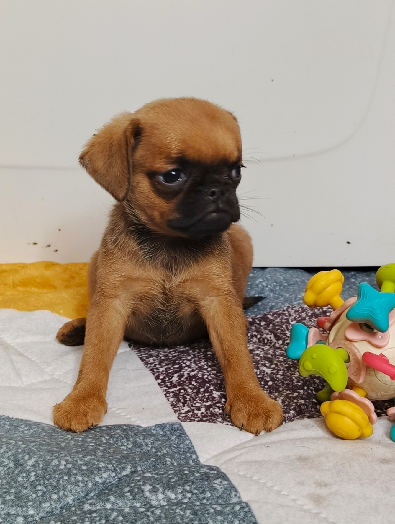 1777042503535.IMG_20260418_091817_114@-929902923