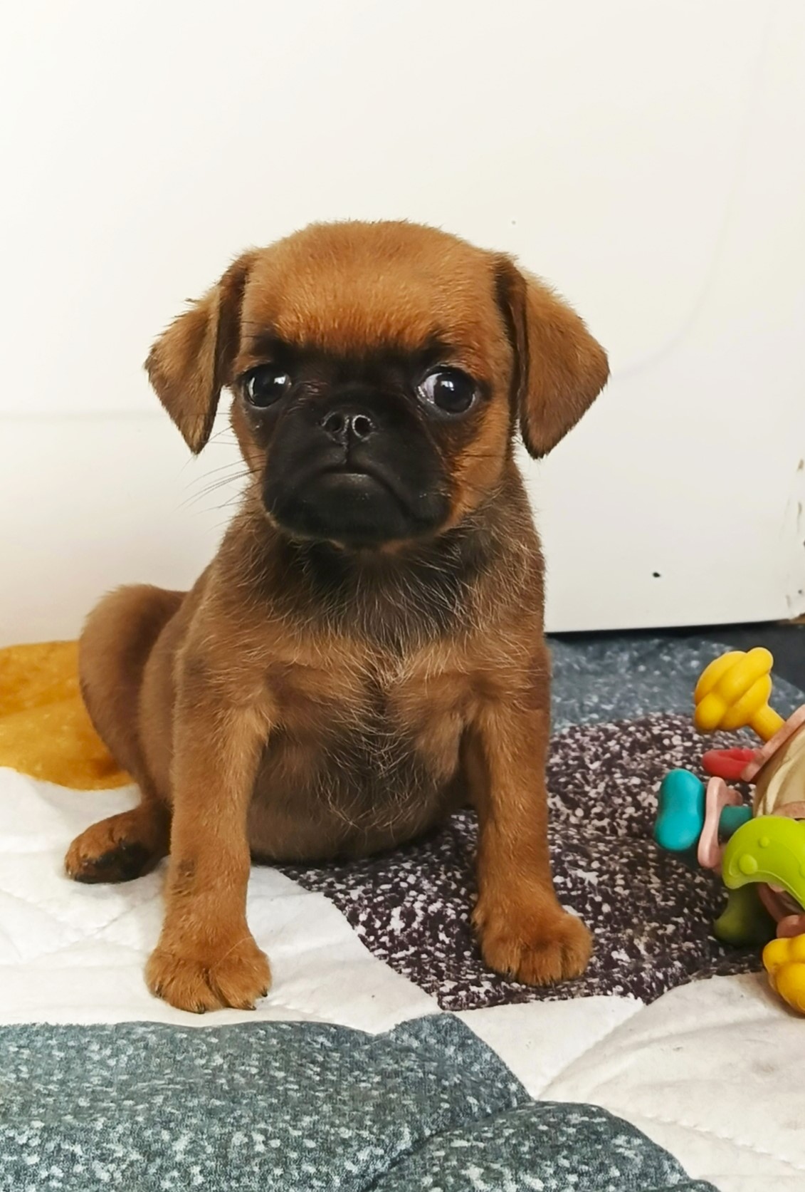 1777042522298.1776493278613.IMG_20260418_091647_277@-1959447157