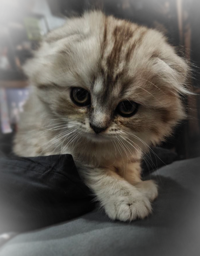 1photo_2026-04-03_16-04-59