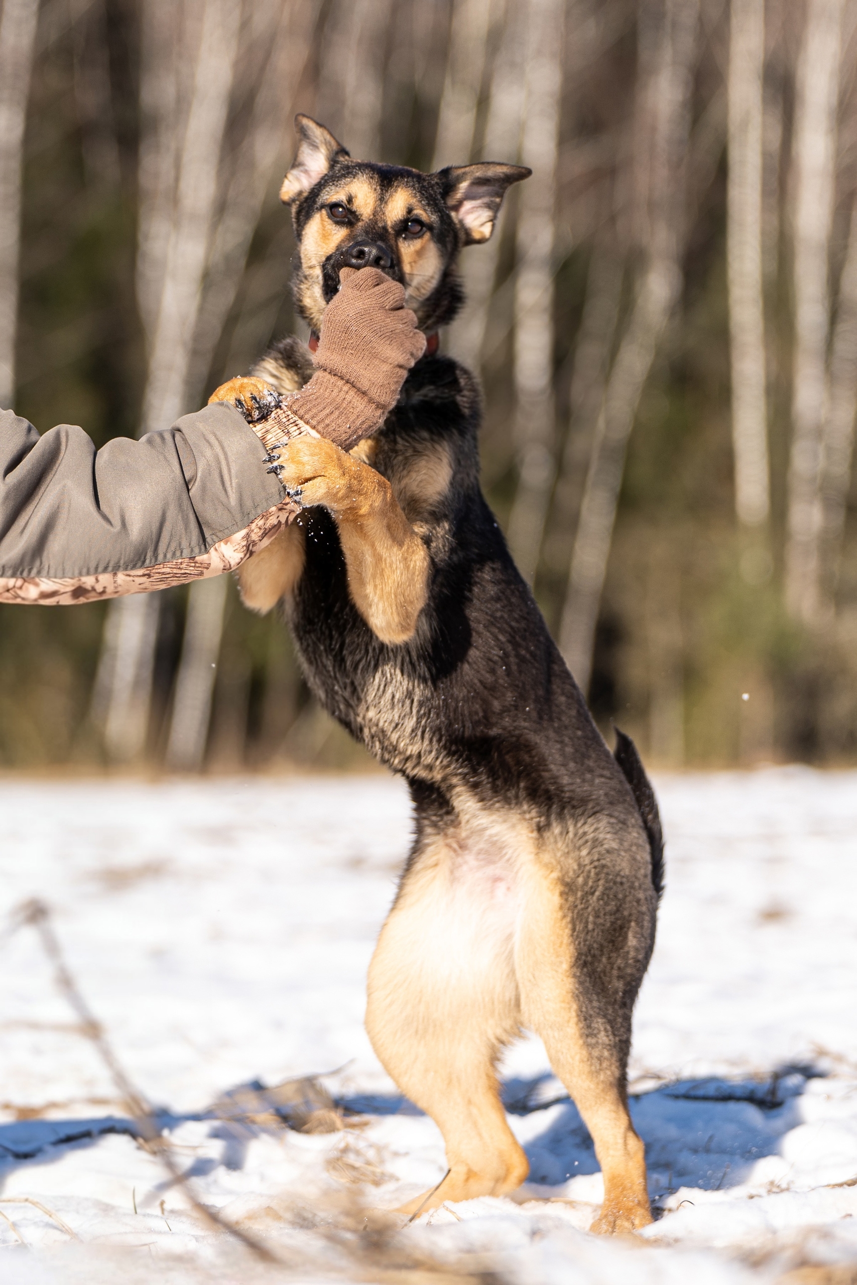 2VpXU2gsg2ePrC69LeWeNkdvOjd9yZqAZ-W-_EjrkSzYUrb3lCjx0-ZURqvtHJx9k8f7uMFmwdAUyakDXc-L4C