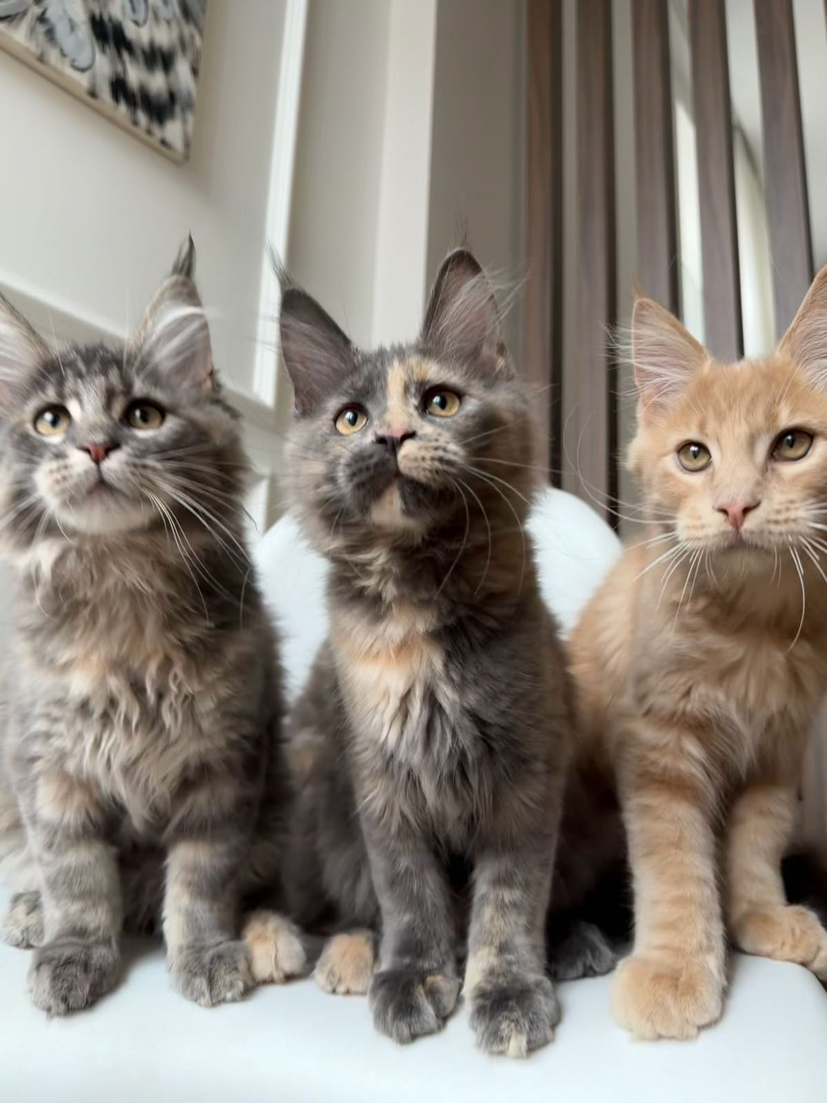 2fd0b7b937c1dfa295b7772e8dbf5158_04_05_2026_14_51_46_424