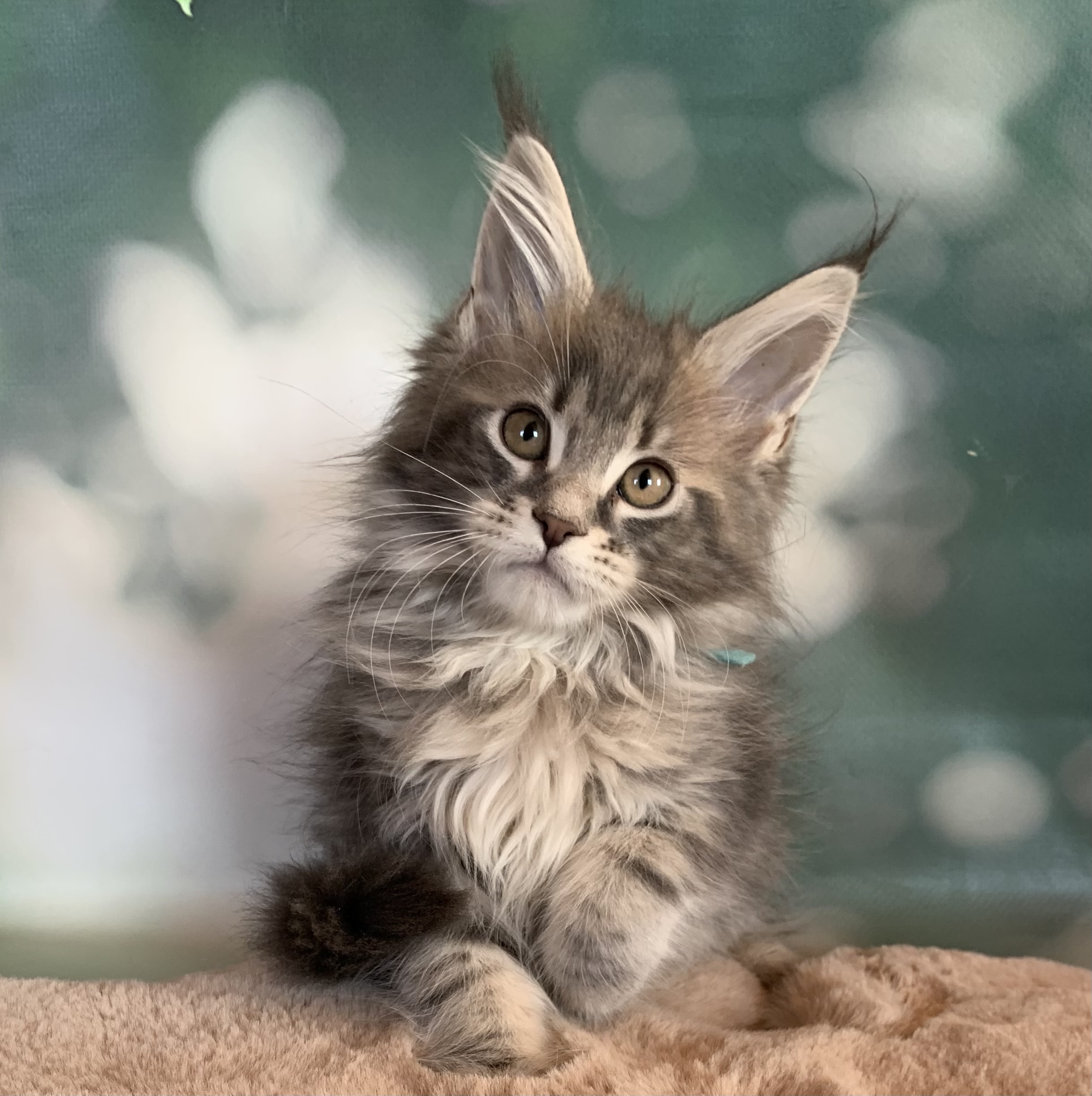 37955776-48E9-4163-8DCC-A96264A1055C