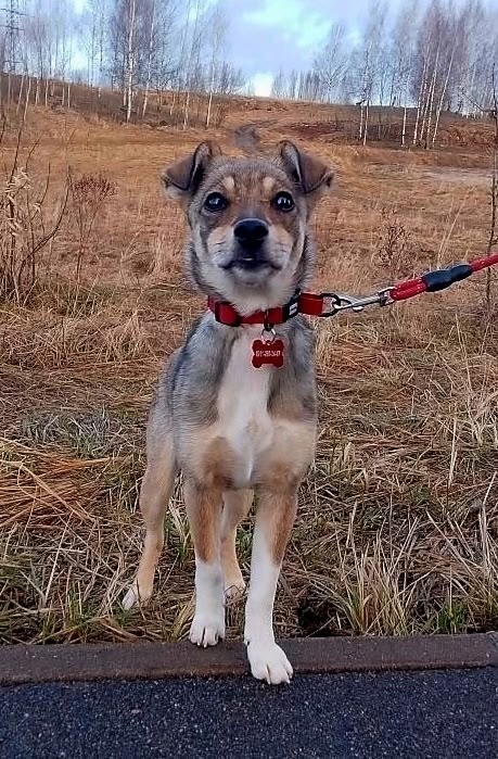 3J2oXLWoCkMKdJx7l2R_j_-xt-U_W2xBiDbbGt_BKYFdQFjb-cJxFBuU0gPPf1AWf_GsSYCsodjHmzL1DLRO0MiU