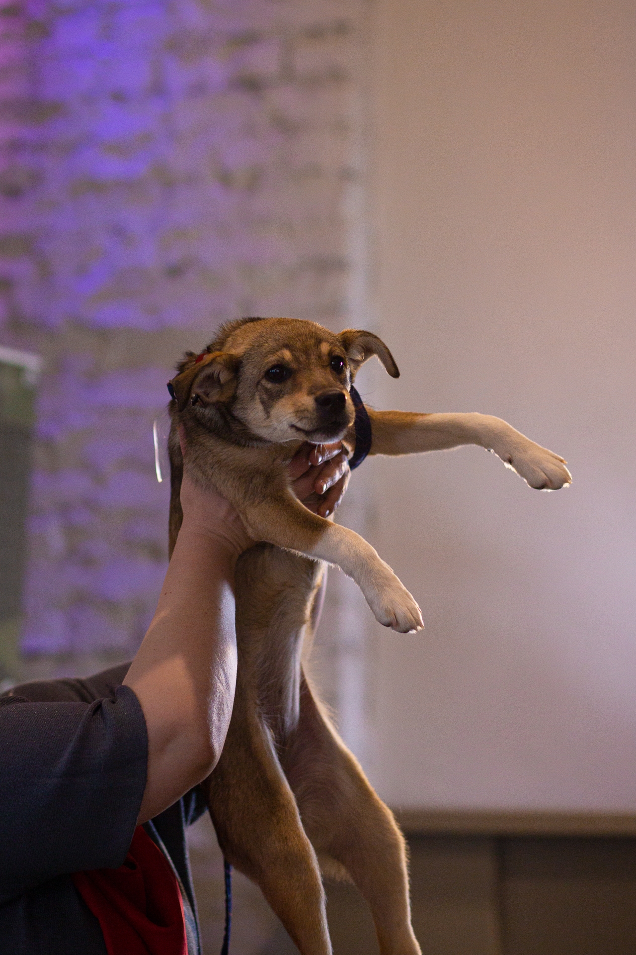 436oEGQGO-NDxEDGP_HdS9sSoUqRrZ0qgNMvQ7YnCMH0EUXTT7BcYVVbjc_kz0OXaagEORUTQ0zq4KkvVauoK3Se