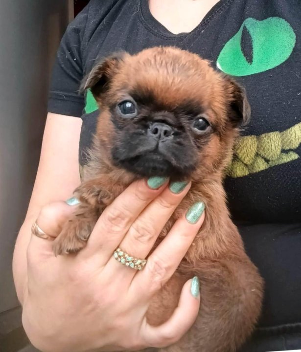 692ac70b23409ea6fa0800ec-2-1