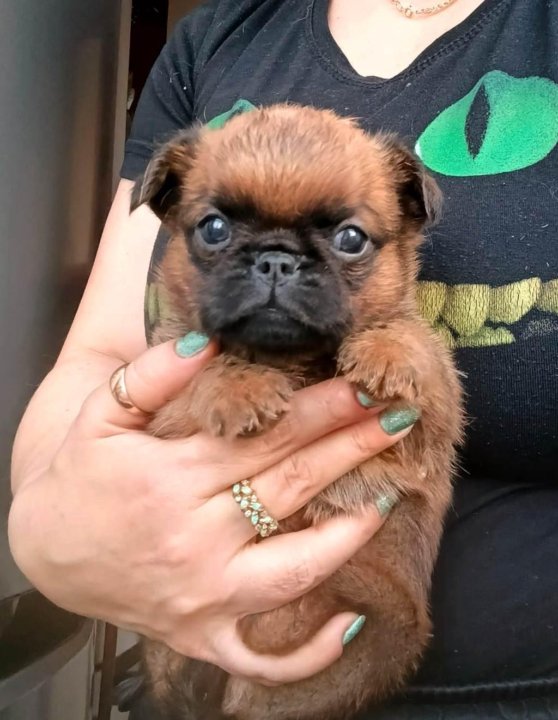 692ac72f4dd6ba66240c91e4-2