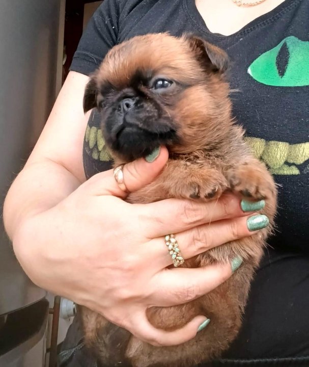 692ac73e257bb89b2a06667c-2