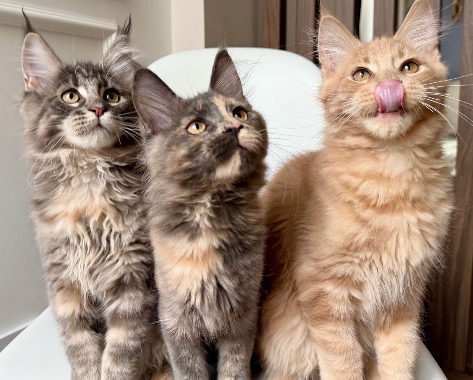 6c17726c14da5179c252acda5f302630_04_05_2026_14_45_53_166