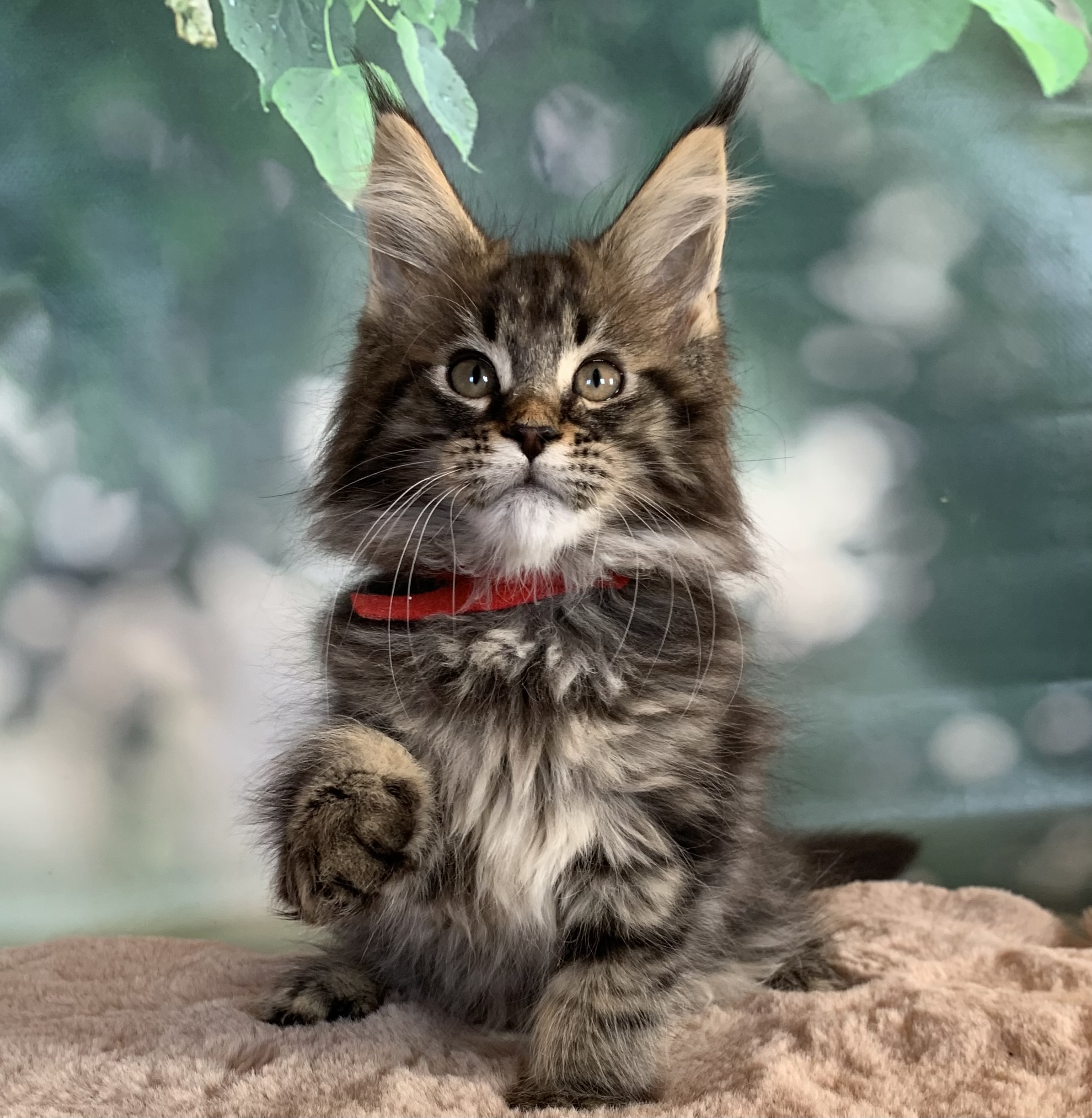 9BFEBE5B-B637-46A2-8198-0F7945FBAC38