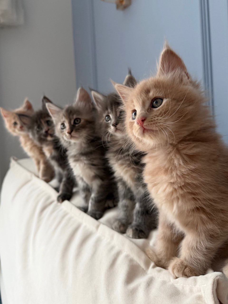 BiP-image-2026-04-01-pmt-18.06.00