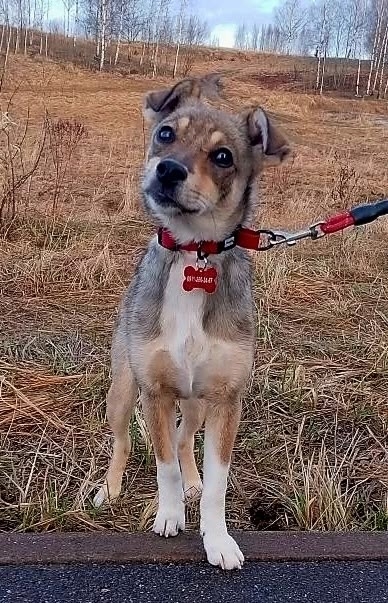 DPdJaNsap7d2L_FErExEiSE5WTGt9i9IGfbErhaLcRuDbzvBB_sxe-9tcxz5D_iW7ItQtoXgXn1-a2psa02AE1FB