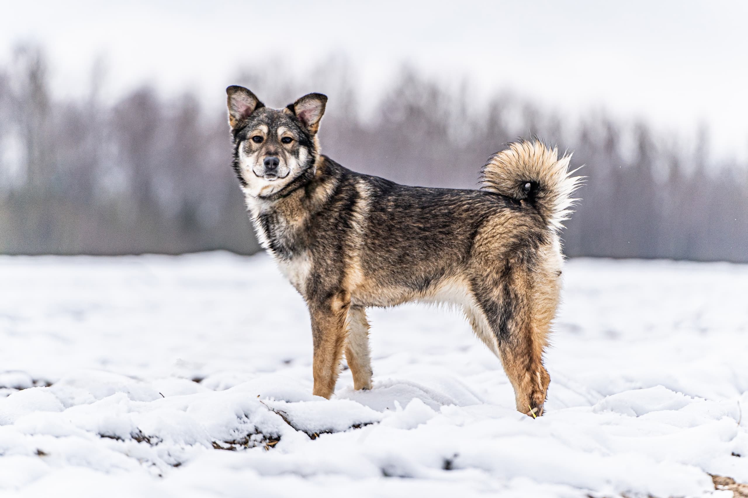 DxSAT4ZM-_W0xXCx8glLk1zLOyPpKINj5D94c_xZvbQKzKsuv3YYMfAOb2C28qRt9oOqbm2GBfPo7BkawyfJm2IX