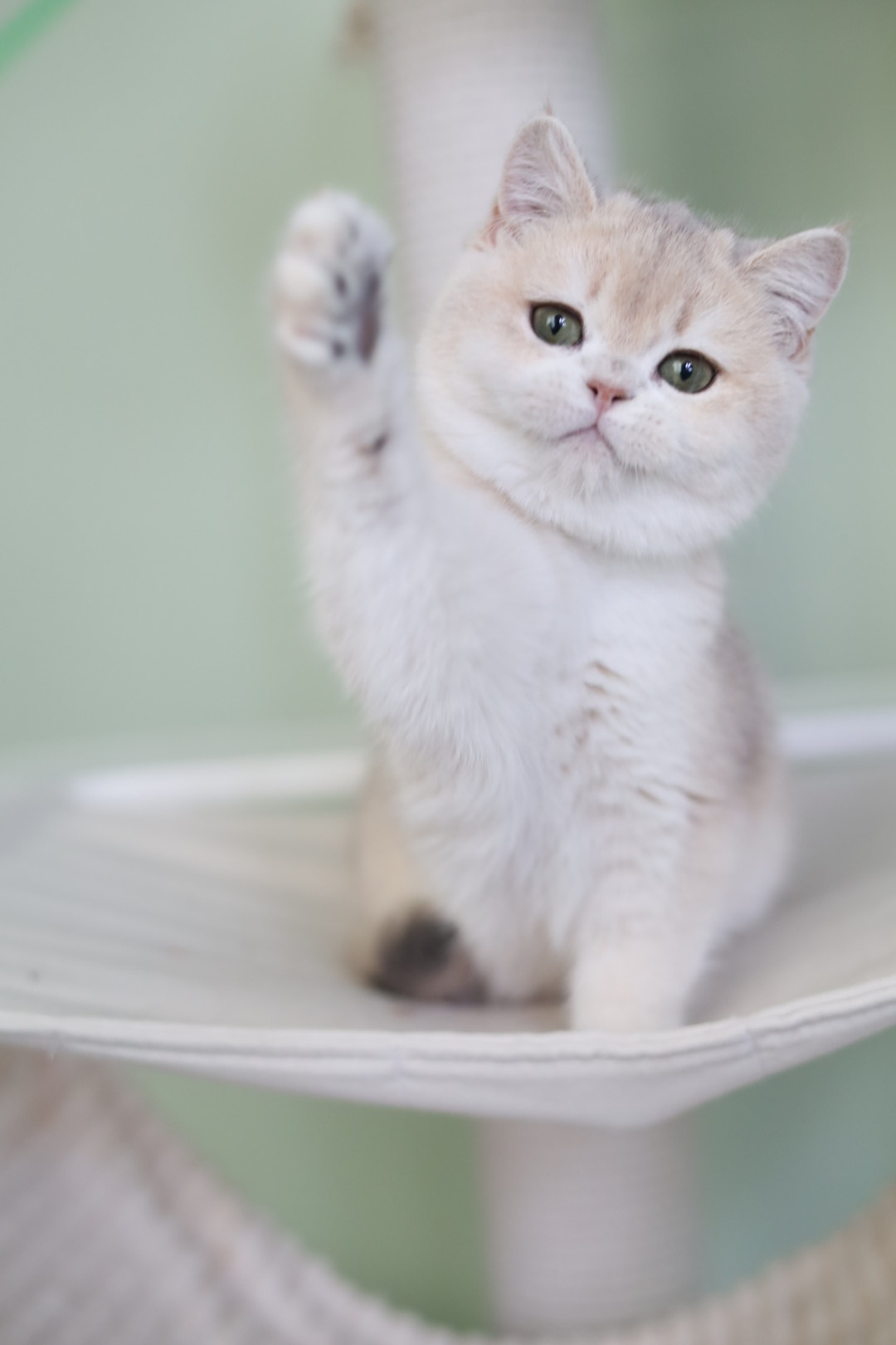 EAZA8Xt4pWU2lJSQFu94NYB4vpg_LbHF2oeDjctX36OhQ8cg02Sjn0xHKq3exQtInCZxodqaR5uH7E0TaQc2g8JK