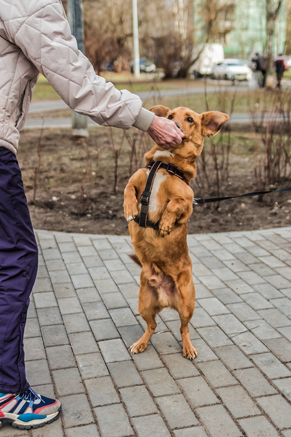 FVDoUl2AsE77AHnD5a7sUHXuD5_Z5GfP031vXQndAxaBzkUZ7-X9U5nLHV-VO1MhBJjxkQFrd0hazVaehI_RUuf_